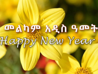 Ethiopian new year
